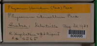 Image Associated With the Occurence